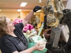 Art show gives the mudskipper its moment in the sun