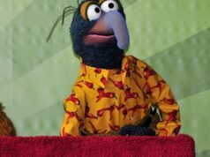Biologists FINALLY have their say on what animal The Muppets’ Gonzo is
