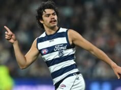 Dashing Cat ready for unfamiliar do-or-die Blues final