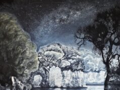 Moonlight rivers and celestial skies inspire Freo artist Kelsey Ashe’s new exhibition