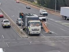 Truckie escapes injury after timber plank impales vehicle at busy Adelaide intersection