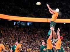 Wallabies suffer injury blow ahead of Springboks battle