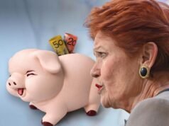 One Nation rejects need to model proposed super changes