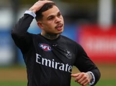 Bobby Hill: Former Collingwood star plots AFL return spurred on by Shai Bolton’s Norm Smith win