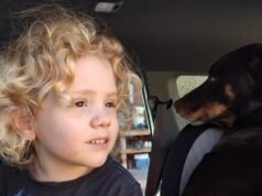 $1 million reward offered for information on Gus Lamont