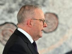 ‘We can meet this challenge’: PM pushes climate action