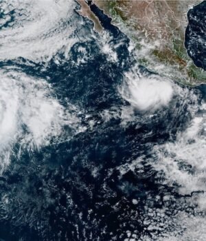 AP_26264659913202_3AP.jpg