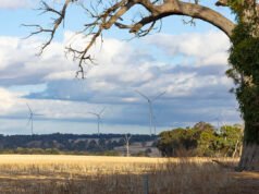 Kojonup Wind Farm highlights tension between developers, farmers and government