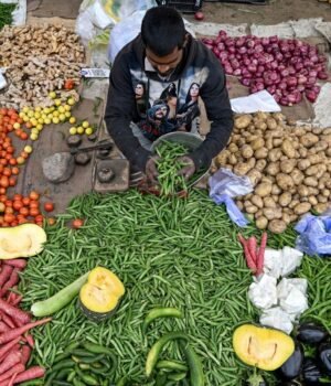 INDIA-ECONOMY-AGRICULTURE-BUDGET-10_1739360303718_1790437716719_6SSc_ad74b040-6460-479e-9446-5230e8affc0c_HkGn.jpg