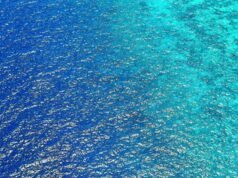 Search underway for Indonesian passenger ship carrying 240 people