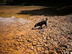 Thought 2026 was extreme? Here’s why 2027 is expected to be worse