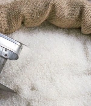 Sugar_1724993920384_1788785393367_a9d9b00f-3a6f-4caf-817e-047ea078f940_4a2eac0f-e643-4be7-948b-0f4109e36db2_eff8d93a-4d80-467d-9406-272c5a1423f0.jpg
