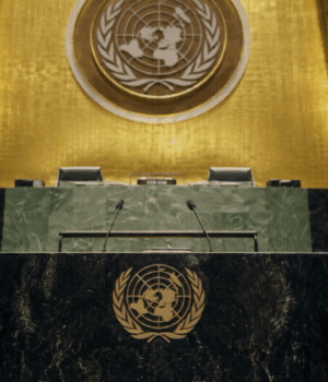 UN_israel_parrot_video__1790144214104_JuNq_1790144214306_V1Ya_6711c940-451c-4e3b-b0d0-ee3da5a9a3e6_Nwoy.gif
