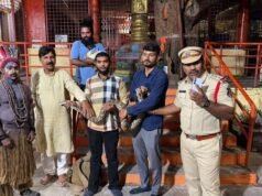 Python, hen rescued from Ganesh Chaturthi dance in Hyderabad