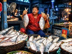 Why hilsa-exporter Bangladesh is importing the fish from Gujarat