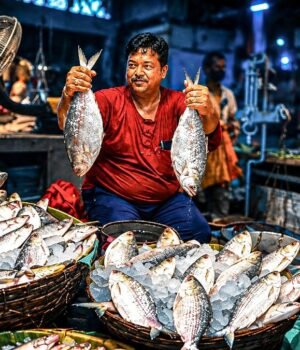 a-fish-vendor-in-kolkata-holds-up-a-pair-of-padma-hilsa-imported-from-bangladesh-in-this-september-2-19184266-16x9_0.jpg