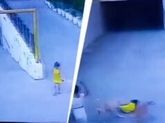 Video: 7-year-old girl mauled by stray dogs in Ghaziabad residential society