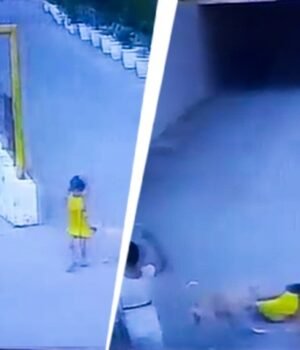 a-seven-year-old-girl-is-seen-being-attacked-by-a-pack-of-stray-dogs-inside-a-residential-society-in-030503467-16x9_0.jpg