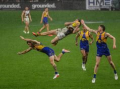 Hawthorn star Nick Watson wins Mark of the Year over Fremantle Docker Shai Bolton