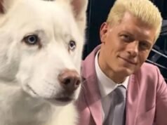 WWE icon Cody Rhodes heartbroken after death of beloved dog Pharaoh