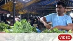 ‘ NET, SET, PhD, तरीह ी कायम नोकर ी नाह ी’, महाराष्ट्रातल्य ा प्राध्यापकांच ी ‘ तासनदार ी’- ग्राऊंड रिपोर्ट