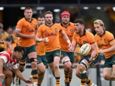Wallabies eye Springboks scalp amid Flagmantle frenzy