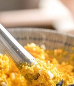 aloo_ki_chutney_1790742215724_eoI9_1790742215847_VGcT_c96334bb-cd98-4a69-a169-78d41c29a2db_Pnum.jpg
