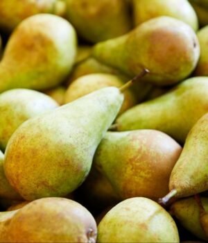 babugosha_fruit_buying_tips_1790338893702_r2Vl_1790338894099_t8x8_54200a46-acea-4223-9351-23bb48b37b2c_TI2y.jpg
