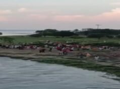 Infant among 10 Bangladeshis rescued by BSF from Padma River in West Bengal