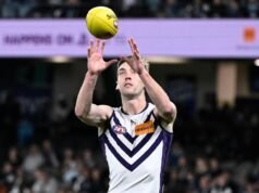 Winding journey: stars align for fringe Docker McDonald