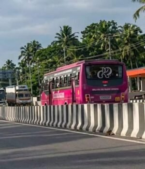 bus.jpg