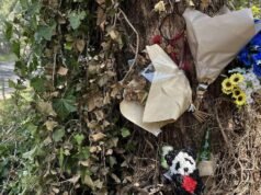 Drunk driver who killed ex while on AVO ‘heartbroken’