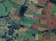 Man dies in fall from ride-on lawn mower on Tasmanian property