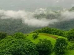 ജീവിതത്തിന് അതിരിടുന്ന പ്രകൃതി സംരക്ഷണം
