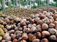 കേരനാട്ടിൽ നാളികേരത്തിന് കിതപ്പ്