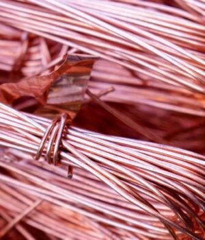 copper_1788805135251_03ec1315-fa34-4ef3-936d-e427a5bd1ea4_1788805135667_db90d6d6-dc45-4086-8d9f-80f285c5f8ea_fabeff1d-60e8-44c2-8af2-bba755786388_23a3a7d8-0bd8-402b-8cbb-86928ad847b1.jpg