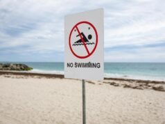 Search for swimmer continues after fatal shark attack