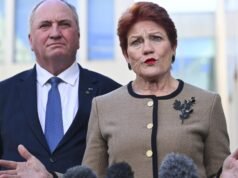 ‘Kill the Australian economy’: Labor slams One Nation’s migration plan