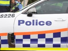 Doubleview arrest: Bus passenger injured after driver of allegedly stolen car crashes, arrested by TRG