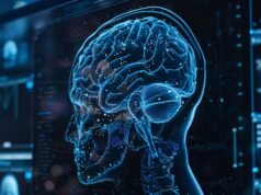 The human brain is two separate organs