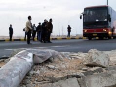 Egypt bus tragedy: At least 22 dead in South Sinai road accident