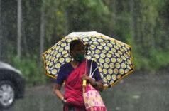 रविवारी महाराष्ट्रात कुठे आहे पावसाचा इशारा? जाणून घ्या, हवामान विभागाने वर्तवलेला अंदाज