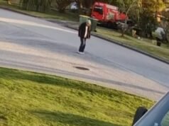 An Yu: Identity of man who was fatally run over by rubbish truck during walk on Balaka Way, Queens Park