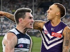 ‘Can’t keep a good man down’: Cats back winged star