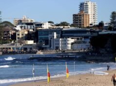 Cronulla Beach evacuated after shark spotted by drone