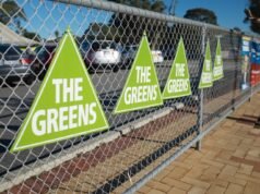 Greens leader suddenly quits after health ‘downturn’