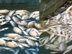 പ്രളയജലത്തില് നിന്ന് പിടിക്കുന്ന മീനുകള് ഭക്ഷിക്കരുത്; നേപ്പാള് ദുരന്തത്തിന് പിന്നാലെ ബിഹാറില് ജാഗ്രതാ നിര്ദ്ദേശം