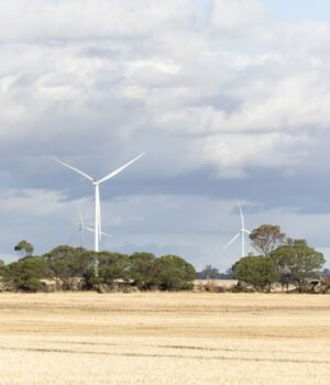 flat%20rocks%20wind%20farm%2004.jpg