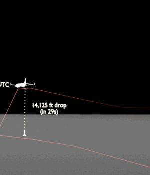 flight3.gif