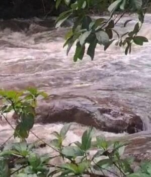 flood-1.jpg